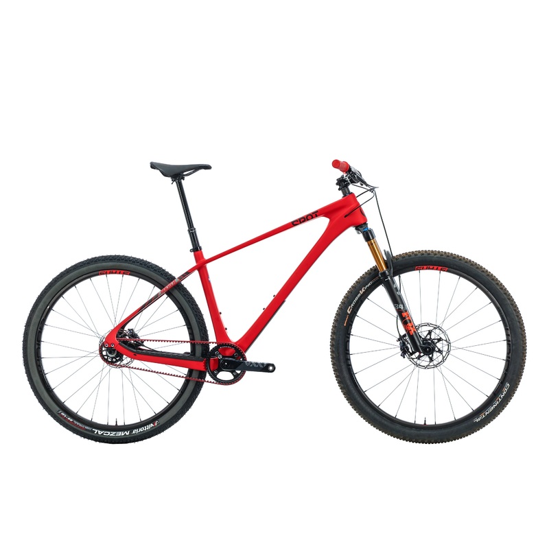 Spot Brand Rocker Single Speed Mountain Bike – 2021, Large