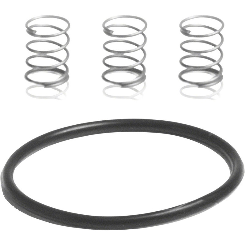 Industry Nine Torch Road Pawl Spring Kit: 3 Springs and 1 1x17mm O-Ring