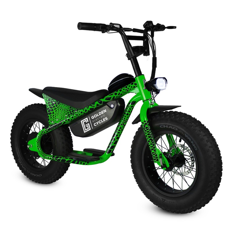GC – BIG BOY – Green Snake