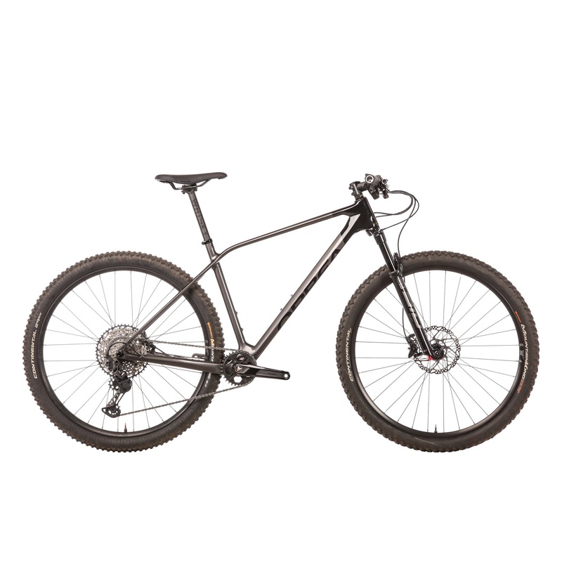 Orbea Alma Carbon Mountain Bike – 2022, Large
